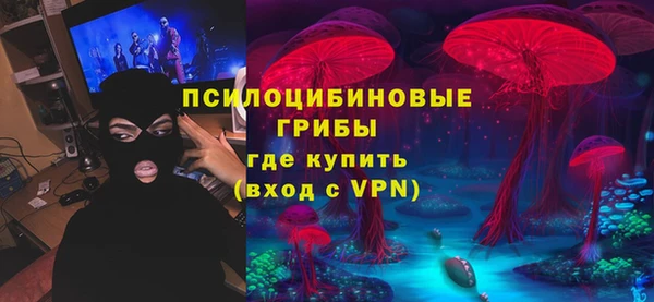 тгк Абинск